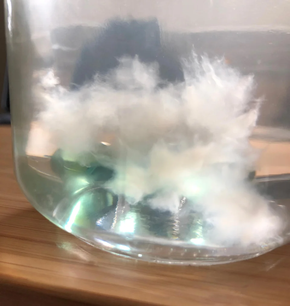 Medio de cultivo líquido Honey-Tek