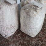 USO DE AUTOCLAVE, PRECAUCIONES Y MANTENIMIENTO