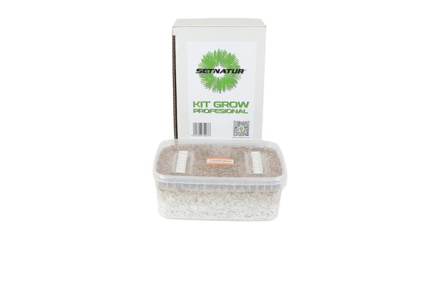 Kit de cultivo de setas Cambodian